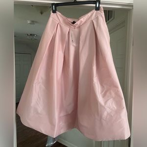 NWT -Beautiful Pink Taffeta Skirt